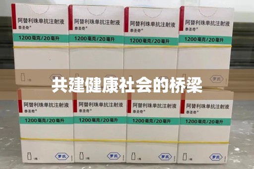 泰安共建健康社会的桥梁