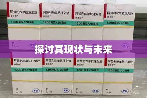 泰安探讨其现状与未来