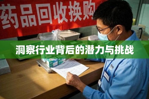 泰安洞察行业背后的潜力与挑战